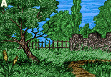 yard