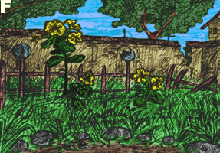 yard