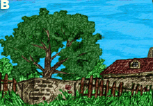 yard