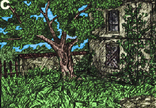 yard