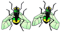 two flies