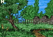 yard