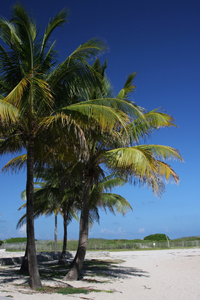 Florida