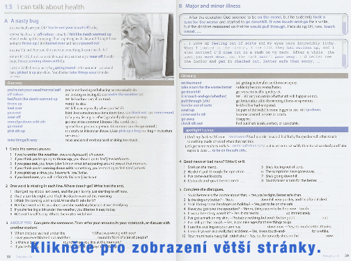 OWSAstranka