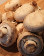 a champignon