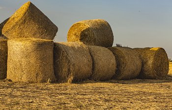 bale