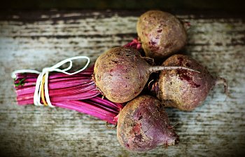 beet