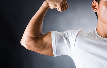 biceps
