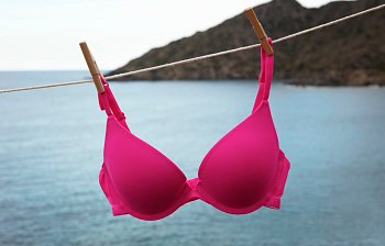 brassiere