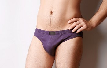 briefs