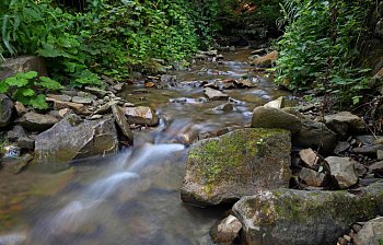 brook