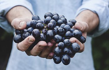 grapes