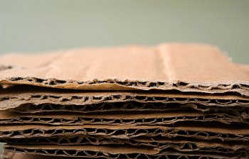 cardboard