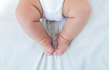 chubby