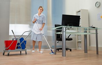cleaner