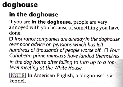 in the doghouse