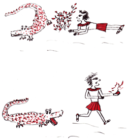 curious contraception: crocodile dung