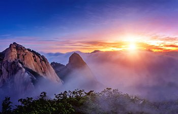 dawn