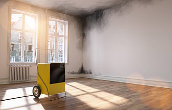 dehumidifier