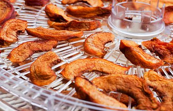 dehydrator