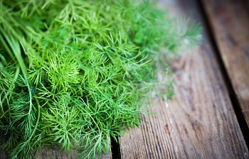 dill