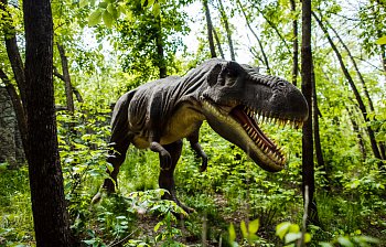 dinosaur