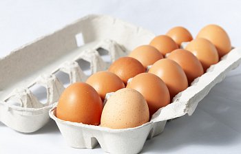 dozen