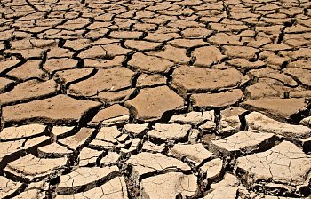 dry