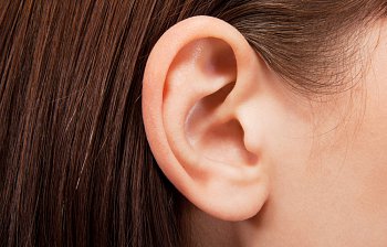 ear