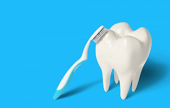 enamel