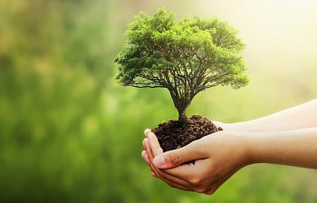 environment