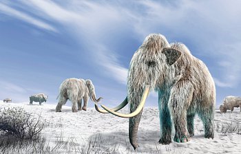 extinct