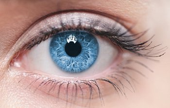 eye