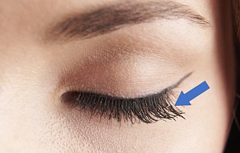 eyelash