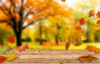 autumn
