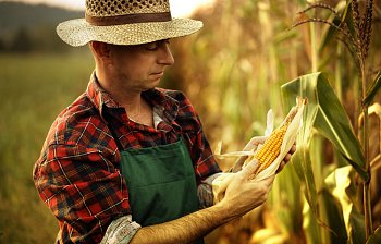 farmer
