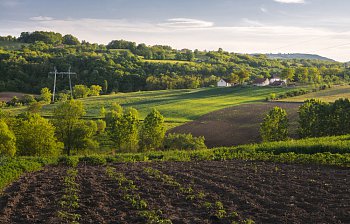 farmland