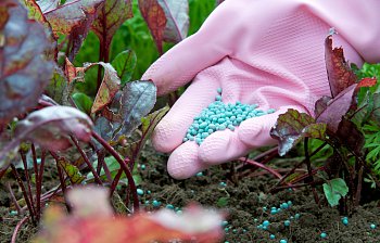 fertilizer