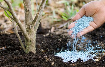fertilize