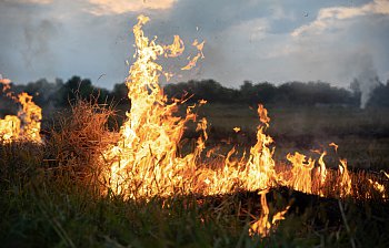 fire