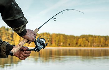fishing rod