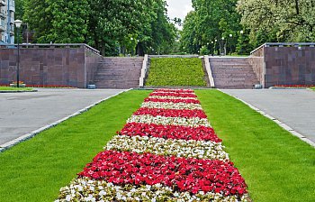 flowerbed