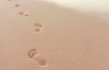 footstep