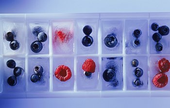 freeze
