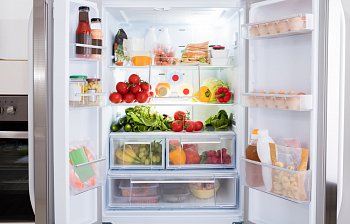 fridge