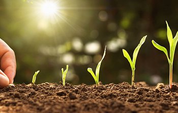 grow