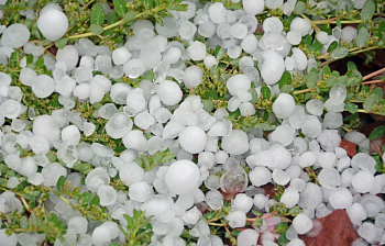 hailstorm