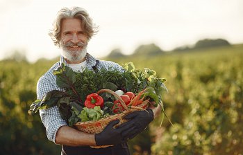 harvest