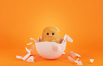 hatch out