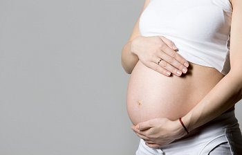 have a bun in the oven